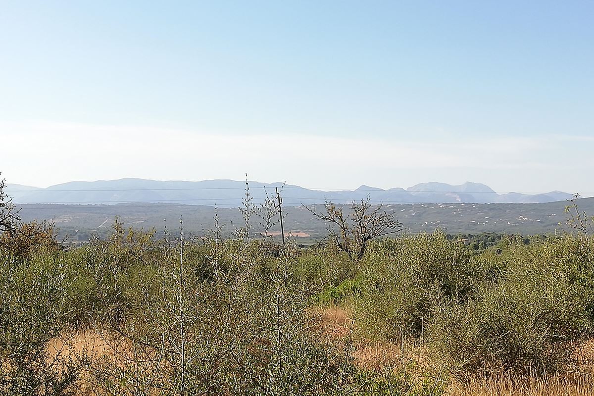 Großes Grundstück, bebaubar mit Blick auf die Bucht von Palma