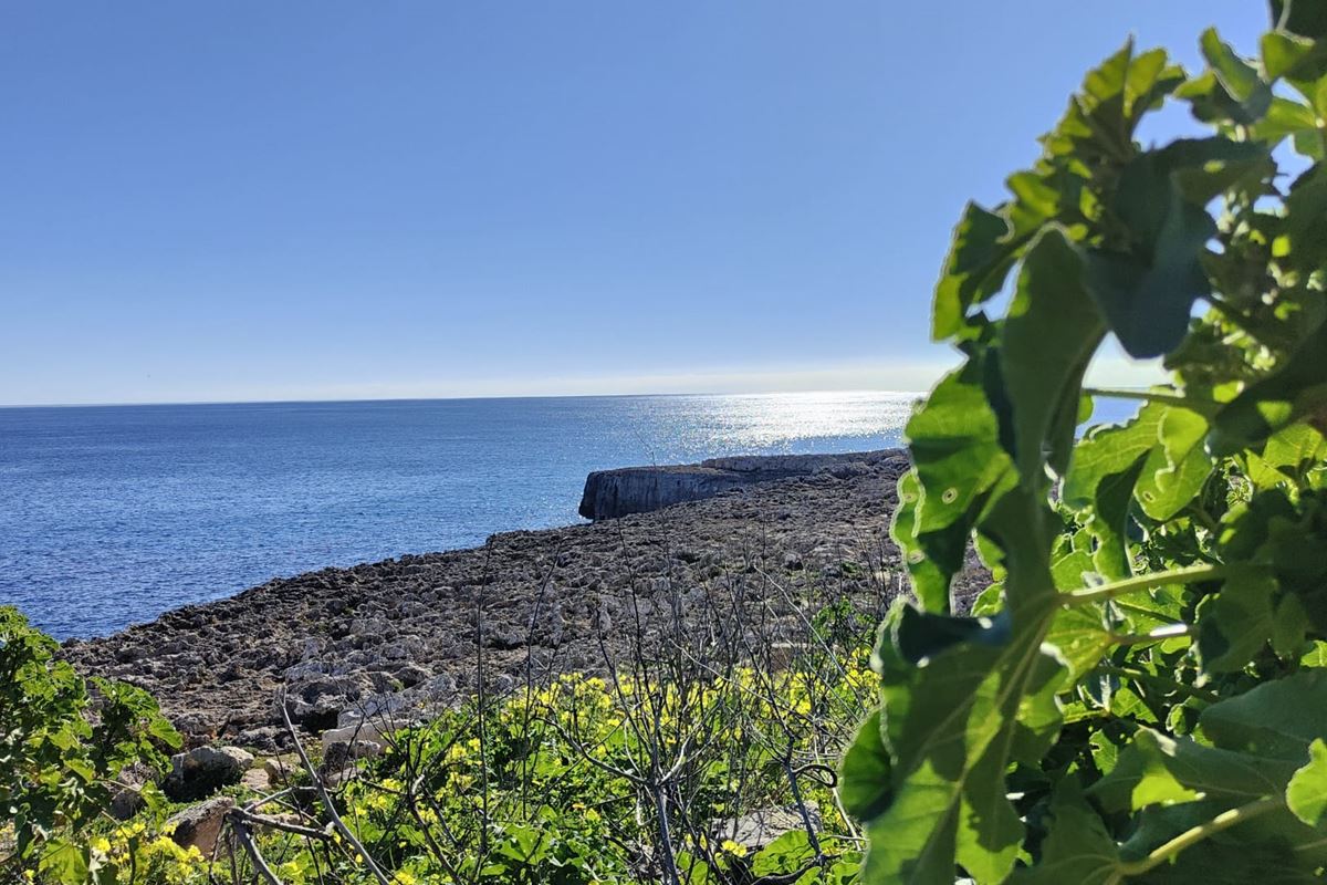 Planta Baja para reformar en Porto Cristo, a 400 m al mar