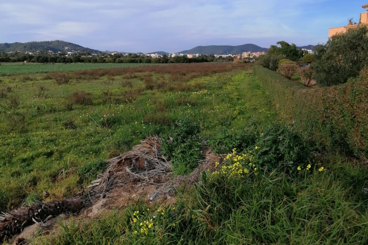 Baugrundstück Finca Rustica in San Lorenzo des Cadassar.