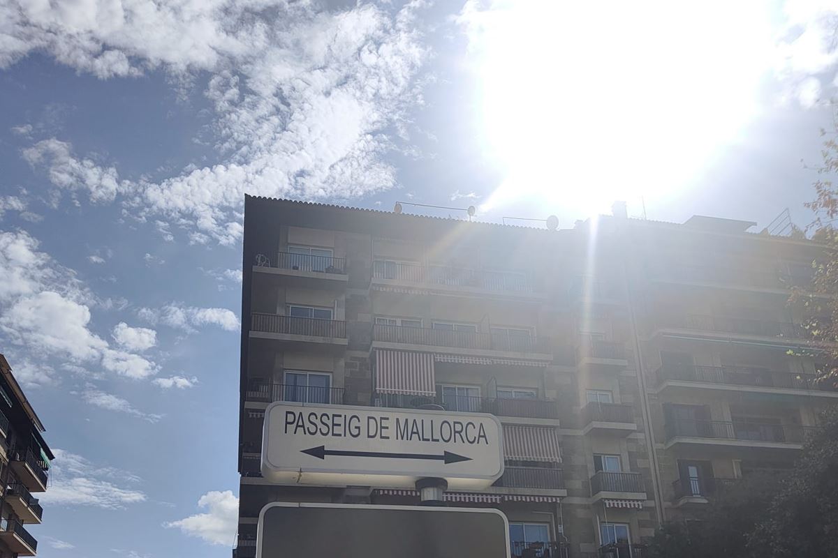 Spacious and bright apartment on Paseo Mallorca