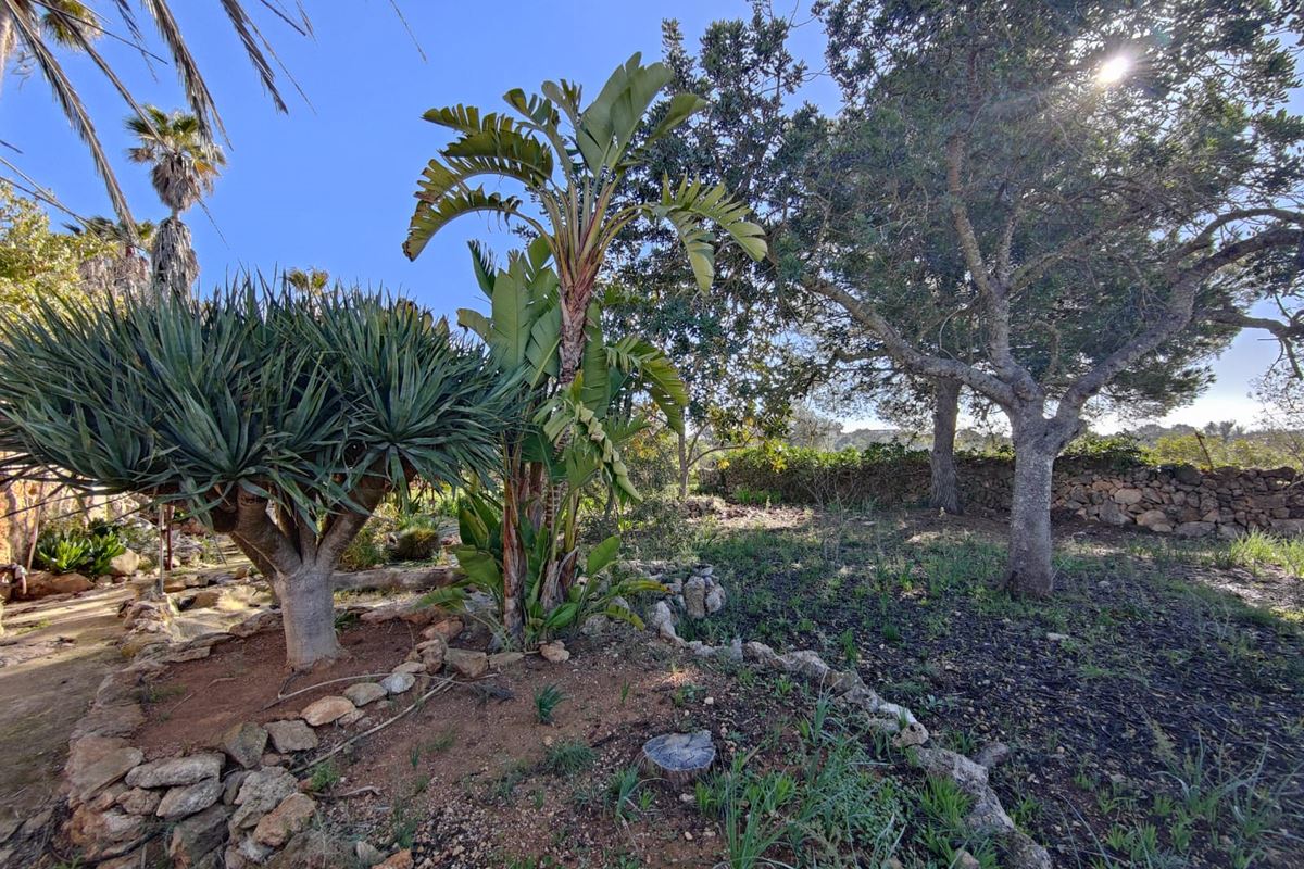 Finca Rustica con jardín precioso y vistas hacia Palma