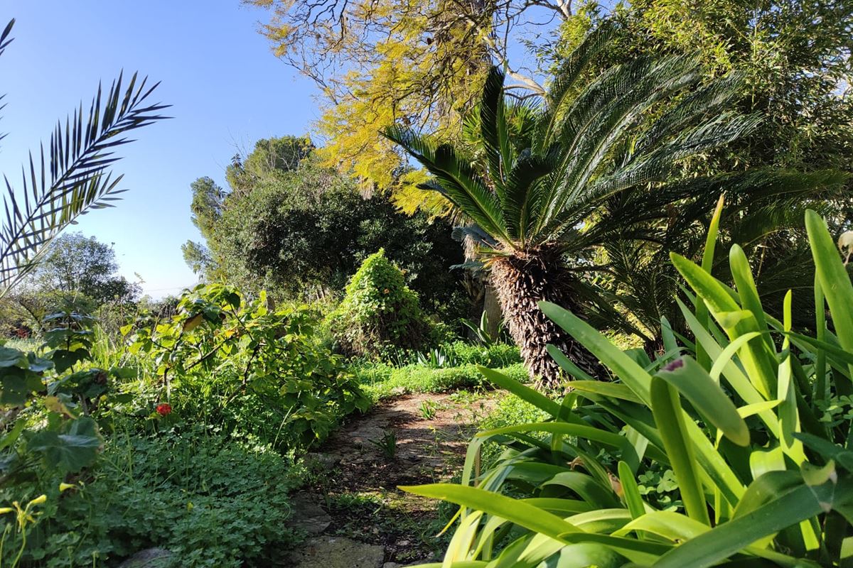 Finca Rustica con jardín precioso y vistas hacia Palma
